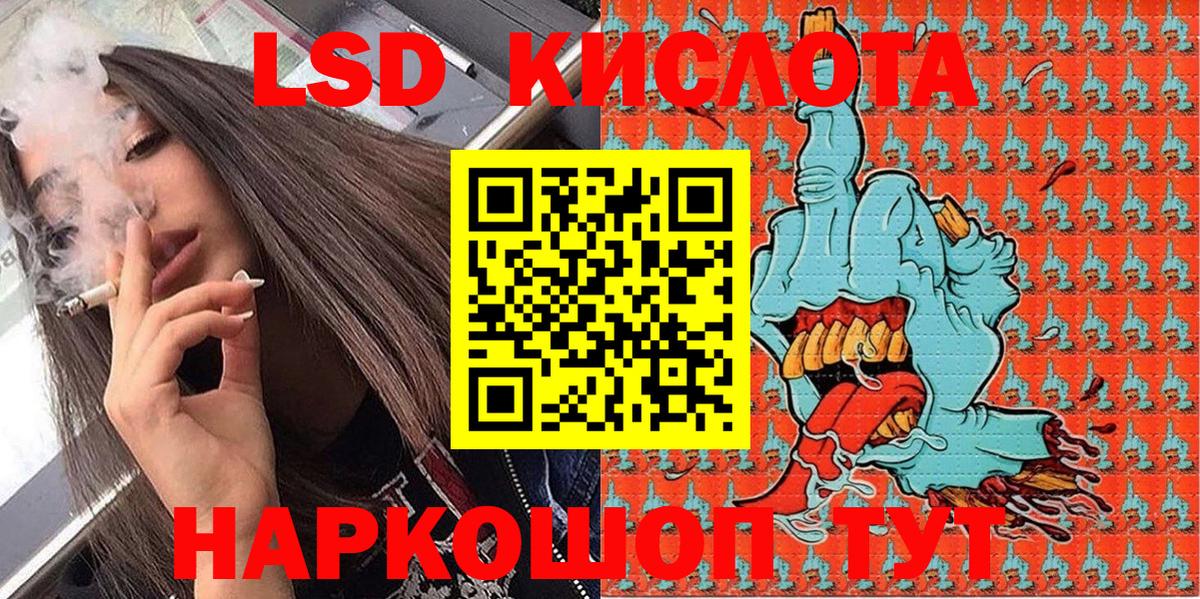 Бошки Шишки Владимир