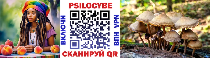 Галлюциногенные грибы GOLDEN TEACHER Владимир