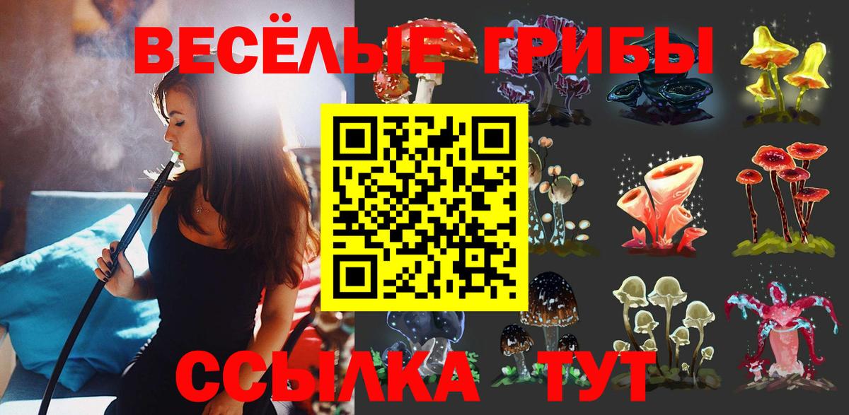 Псилоцибиновые грибы GOLDEN TEACHER  наркотики  Владимир 