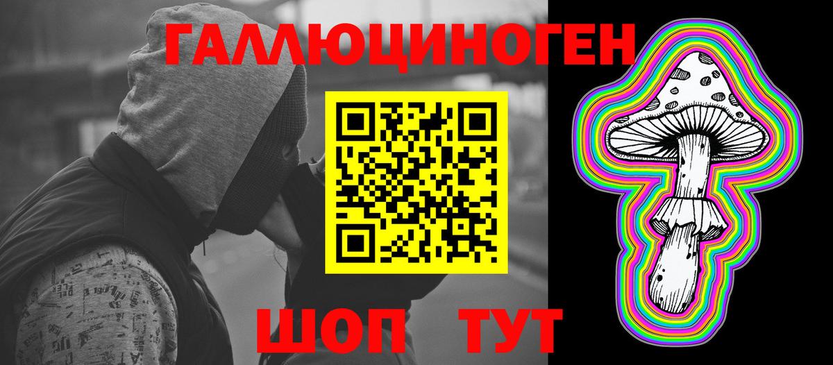 Владимир  Галлюциногенные грибы Cubensis  Вход с VPN 